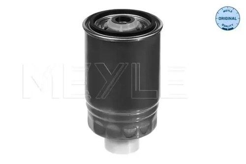 Fuel filter spin - spin-on, 100